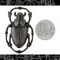 Black Plated Brass Very Large Scarab Beetle Pendant - One - BB-P117